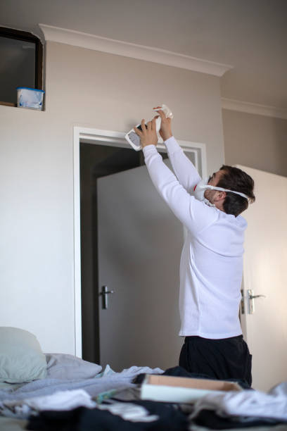 Professional Mold Removal in Compo, CT