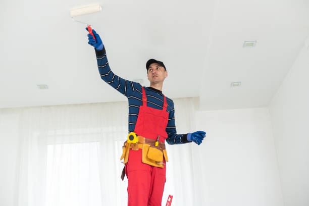 Best Mold Removal for HVAC Installations  in Compo, CT