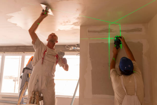 Best Crawl Space Mold Remediation  in Compo, CT