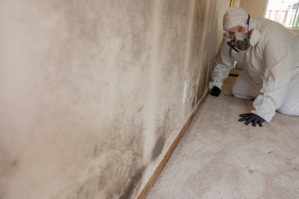 Best Asbestos and Lead Testing During Mold Inspection  in Compo, CT