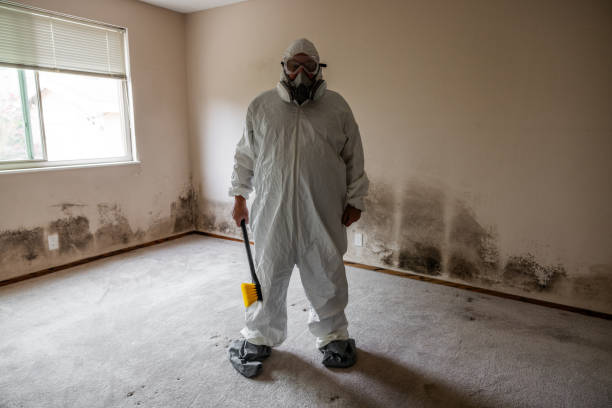 Best Real Estate Mold Inspection  in Compo, CT